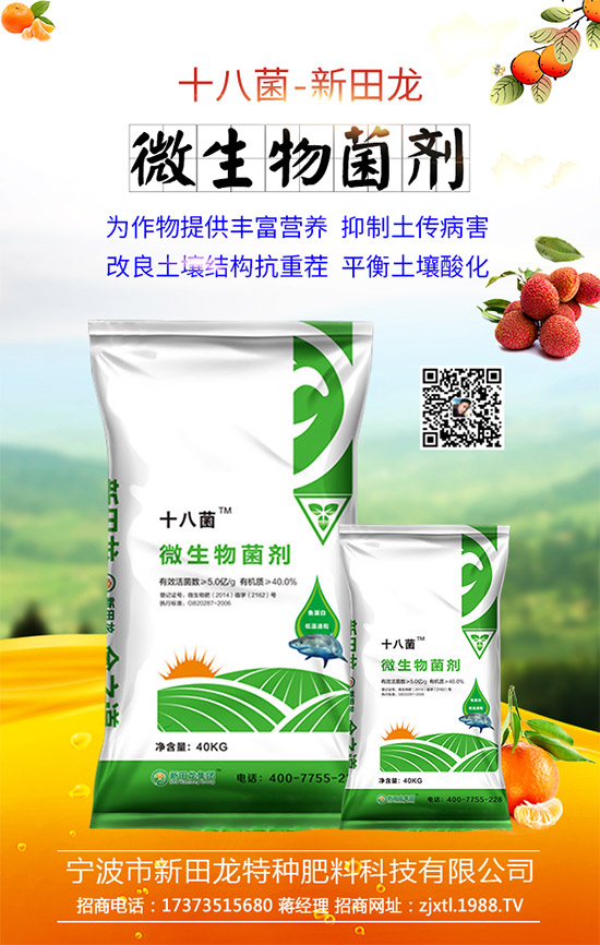 合作關(guān)系再升華,新田龍續(xù)約1988.TV,共謀合作新發(fā)展!