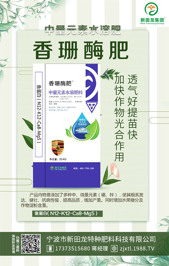 合作關(guān)系再升華,新田龍續(xù)約1988.TV,共謀合作新發(fā)展!