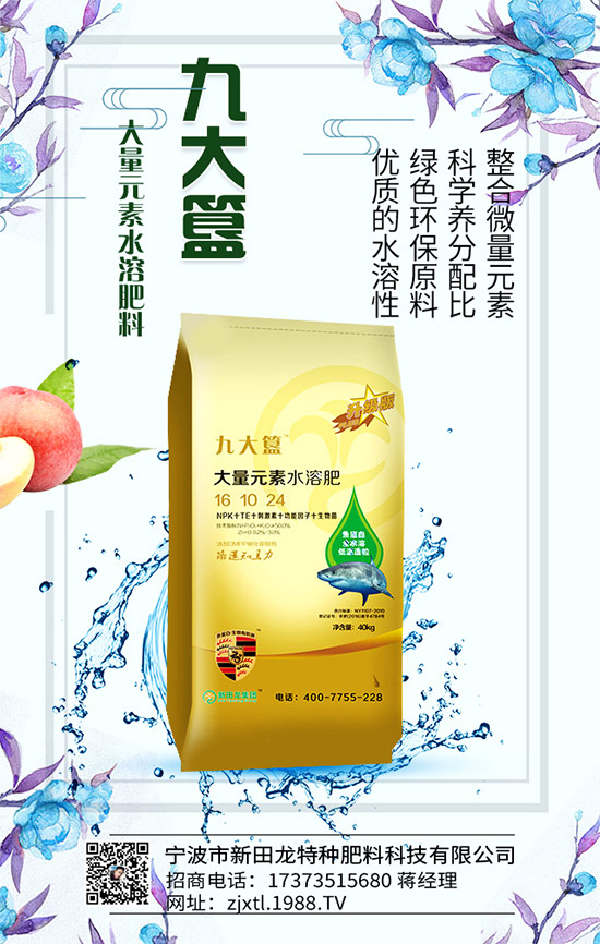 合作關(guān)系再升華,新田龍續(xù)約1988.TV,共謀合作新發(fā)展!