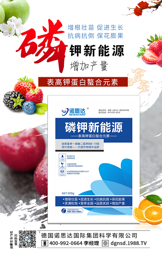 戰(zhàn)略合作再升級,德國諾思達再次簽約1988.TV!