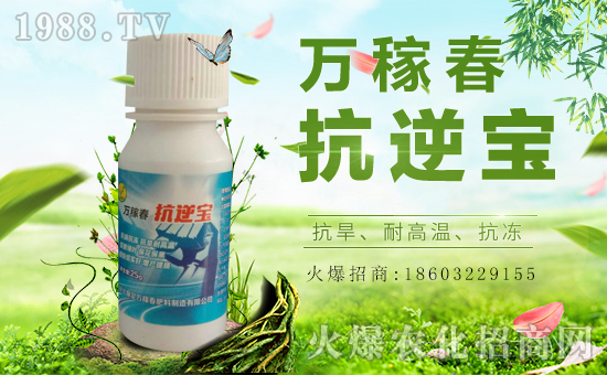 �������f�ڴ��������v���r(n��ng)�����̾W(w��ng)�����F(xi��n)��I(y��)�°l(f��)չ��