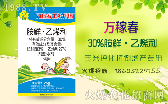 �������f�ڴ��������v���r(n��ng)�����̾W(w��ng)�����F(xi��n)��I(y��)�°l(f��)չ��