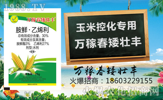 �������f�ڴ��������v���r(n��ng)�����̾W(w��ng)�����F(xi��n)��I(y��)�°l(f��)չ��