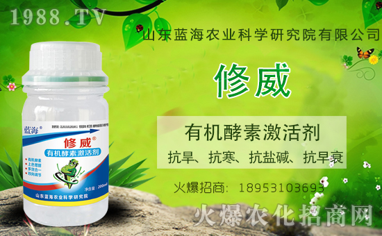 ɽ�|�{���������v���r(n��ng)�����̾W(w��ng)�����_�N����������