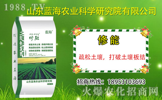 ɽ�|�{���������v���r(n��ng)�����̾W(w��ng)�����_�N����������