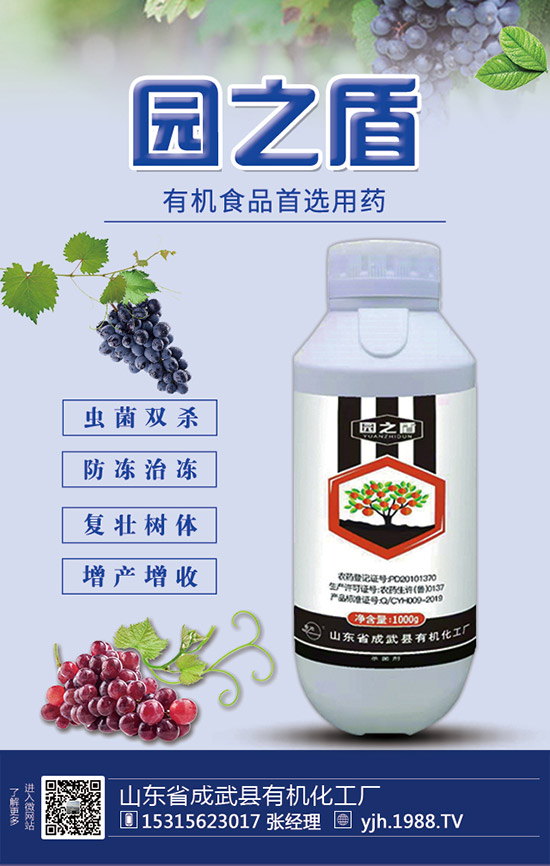 �J�S���ʩ�ʣ��J�S��ʲô���Ϻ����J�S������c(di��n)��ע�����(xi��ng)��