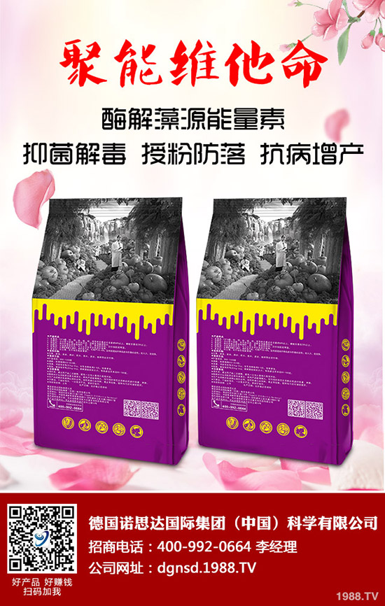 �ܱ��Ϲ���ô�Nֲ���ܱ��Ϲϵ����༼�g(sh��)Ҫ�c(di��n)�c������