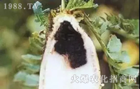 �}��ܛ�����İY����}��ܛ�����ķ���