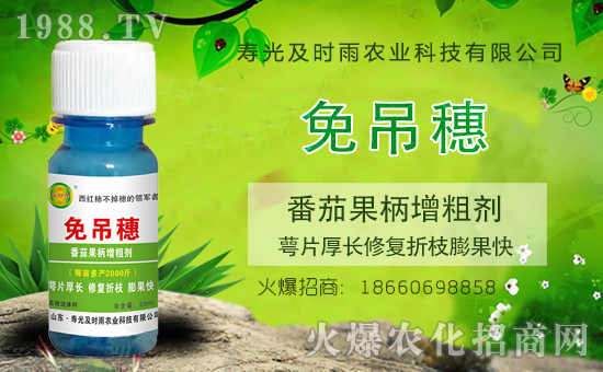 ����������(j��)�����r(sh��)���r(n��ng)�I(y��)�y��1988.TV���Aδ����