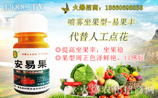 ����������(j��)�����r(sh��)���r(n��ng)�I(y��)�y��1988.TV���Aδ����