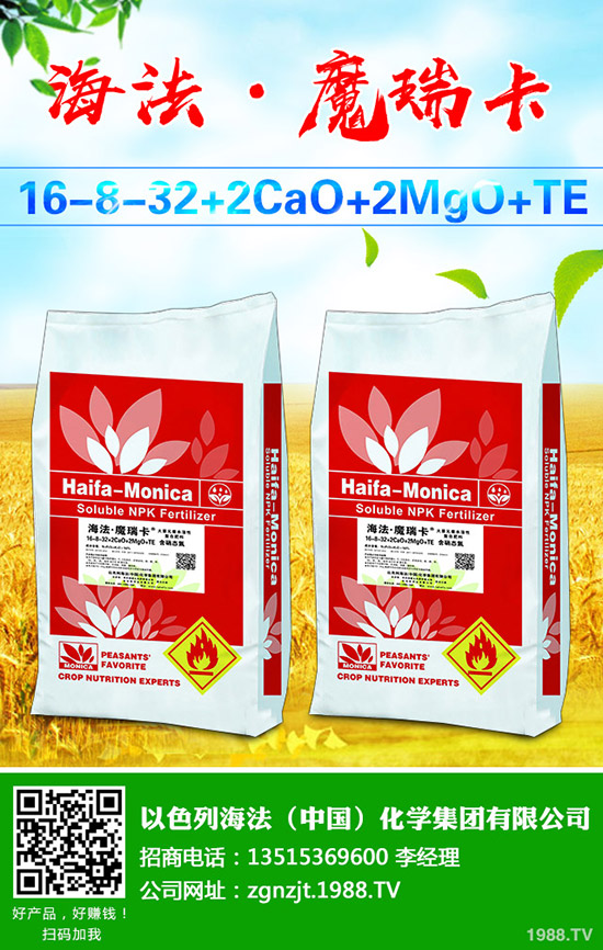     ���ј�(sh��)��(sh��)���L(zh��ng)�l(f��)��ԭ������Щ��ԓ��ô�k�����ѵ��ļ��������g(sh��)��