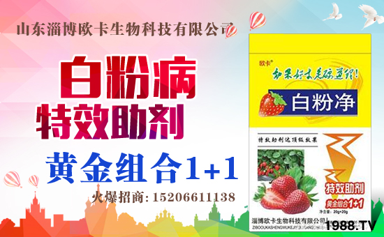 �����P(gu��n)ϵ�����A��ɽ�|�Ͳ��W�������m(x��)�s1988.TV�����\�����°l(f��)չ��