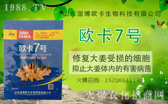 �����P(gu��n)ϵ�����A��ɽ�|�Ͳ��W�������m(x��)�s1988.TV�����\�����°l(f��)չ��