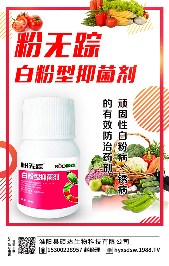 ������ô�Nֲ�������Nֲ���g(sh��)Ҫ�c(di��n)��