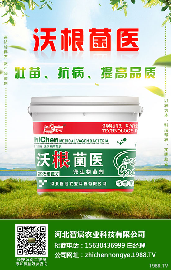 ⛷ʃr(ji��)�����wƫ���\(y��n)��������⛷��������2020-5-15��