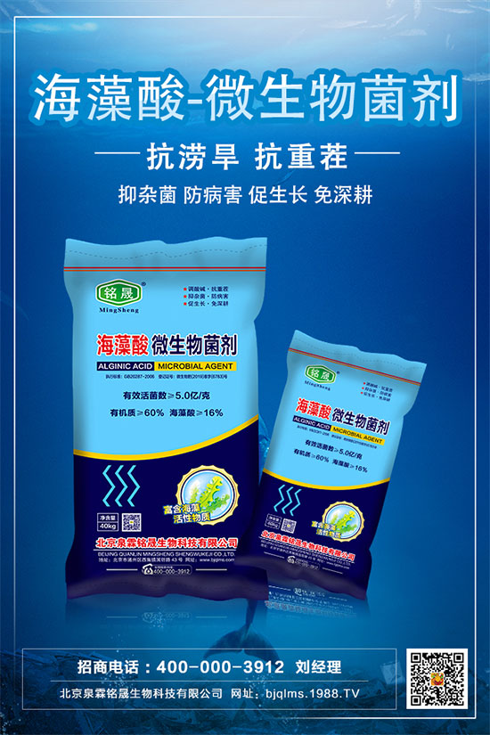 �Ә�Nֲ���g(sh��)Ҫ�c(di��n)���Ә���ԷNע�����(xi��ng)��