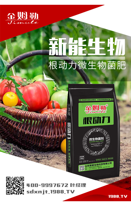 �������\�l(f��)չ��ɽ�|�����ٺ�1988.TV�_��(chu��ng)���x����