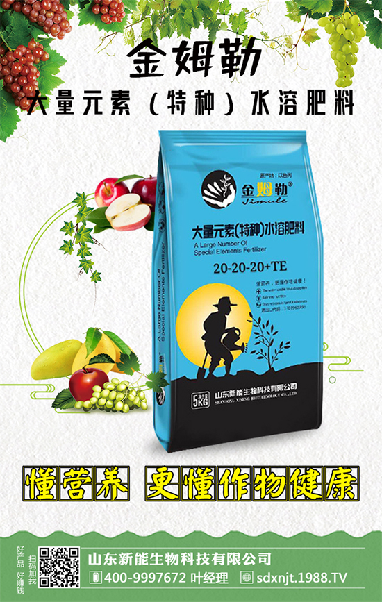 �������\�l(f��)չ��ɽ�|�����ٺ�1988.TV�_��(chu��ng)���x�ͣ�