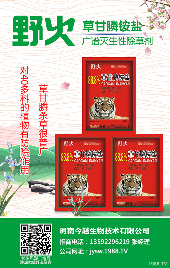 精喹禾靈