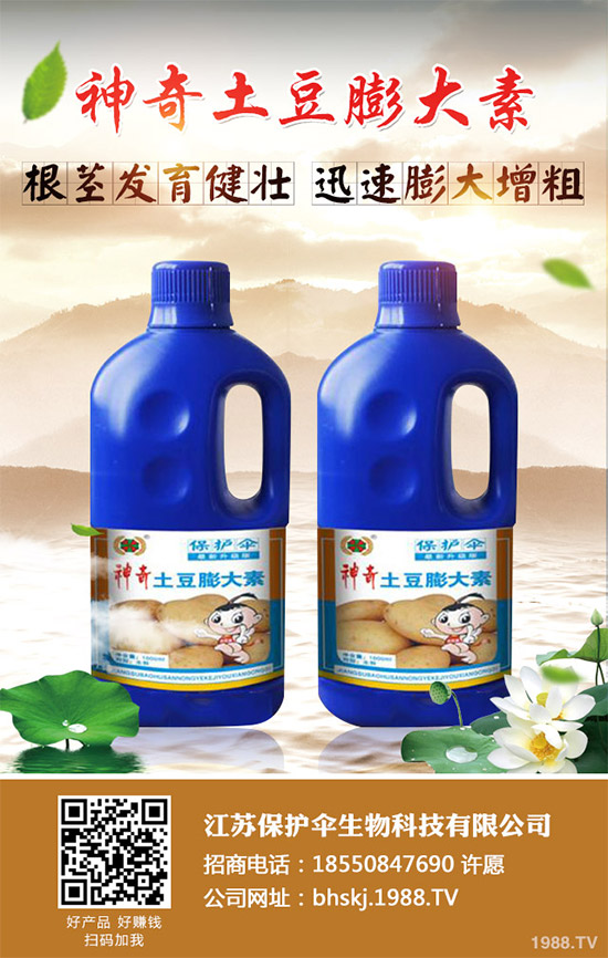 ��(gu��)��(n��i)���؃r(ji��)���Ј�(ch��ng)�����܈�(b��o)