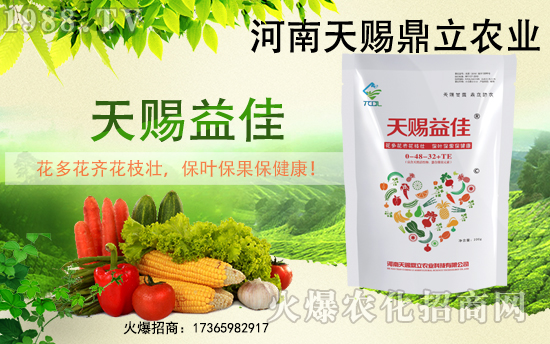 �r(n��ng)���W(w��ng)ϲӭ�»�����y�����n��������ؔ(c��i)��֮·��