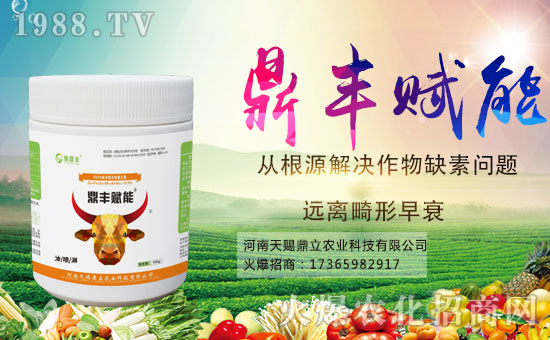 �r(n��ng)���W(w��ng)ϲӭ�»�����y�����n��������ؔ(c��i)��֮·��