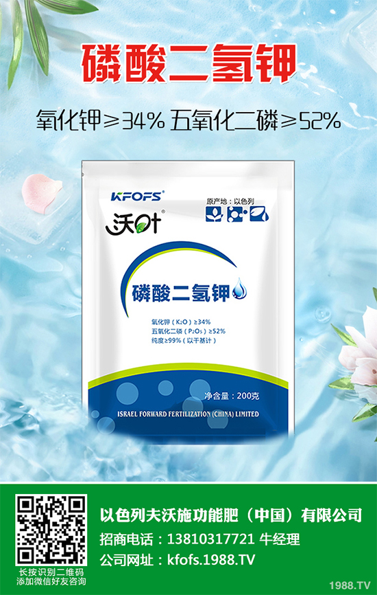 �����������S��r