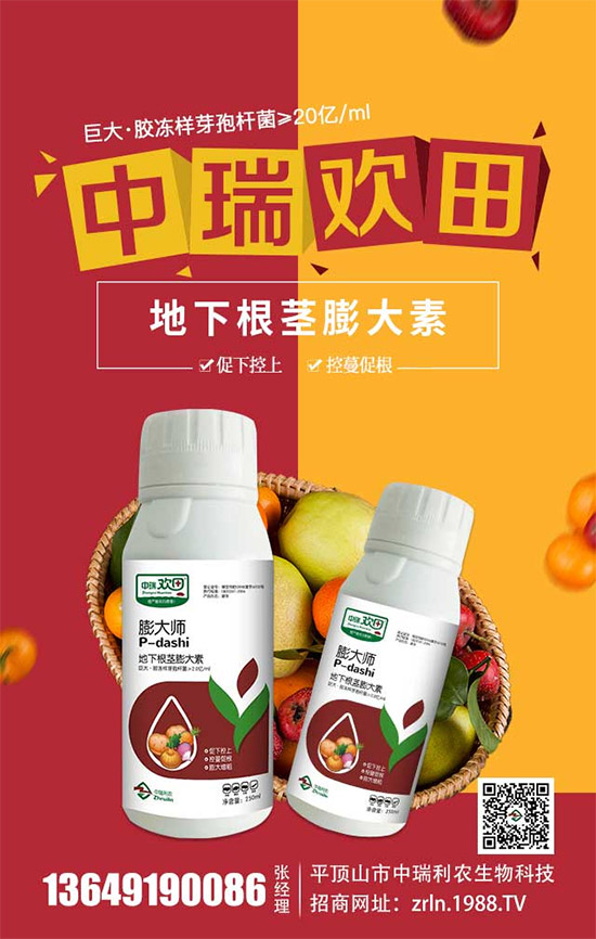 �������������������r(n��ng)�ٺ����r(n��ng)�����̾W(w��ng)�������W(w��ng)�j(lu��)����·��