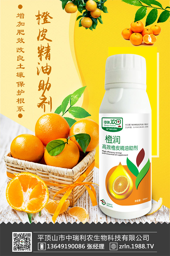 �������������������r(n��ng)�ٺ����r(n��ng)�����̾W(w��ng)�������W(w��ng)�j(lu��)����·��