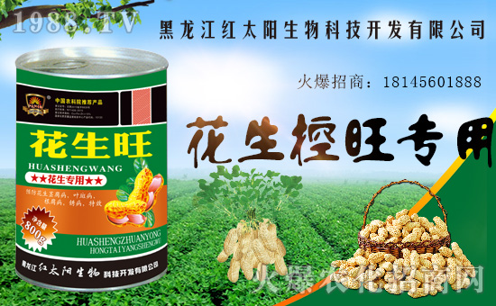 ����������(j��)���t̫������ٺ�1988.TV���y�ֹ��A2020��