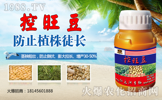 ����������(j��)���t̫������ٺ�1988.TV���y�ֹ��A2020��