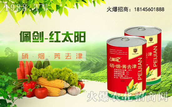 ����������(j��)���t̫������ٺ�1988.TV���y�ֹ��A2020��