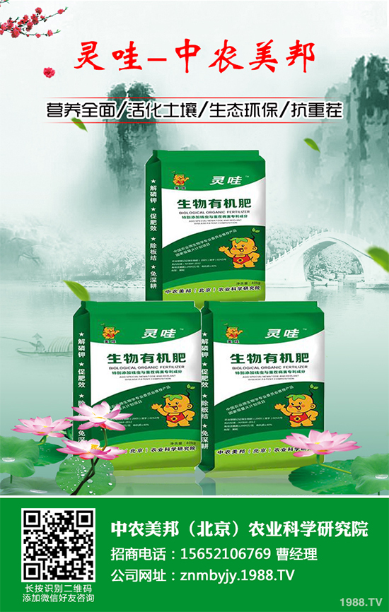 ���᳣Ҋ��������Щ��ԓ����A(y��)�������Ს���İl(f��)���c������