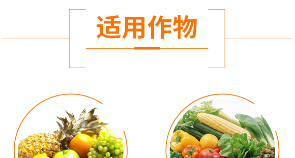 ΢�����������ľù-ֹ���b-�Z��_09