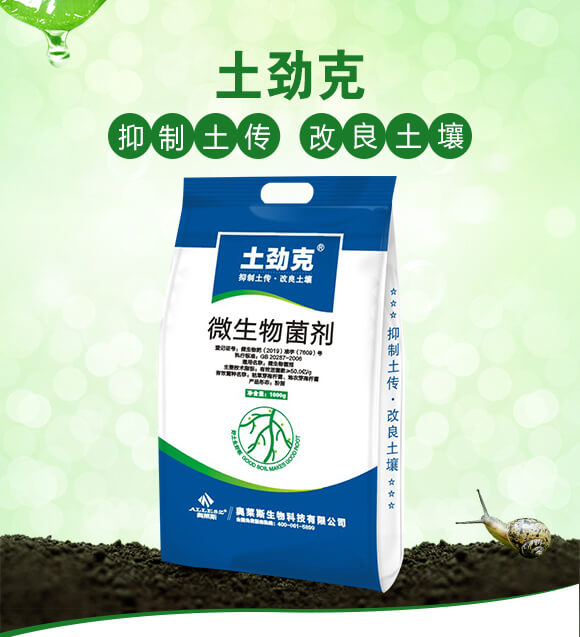 ΢�������-���ſ�-�W�R˹_01