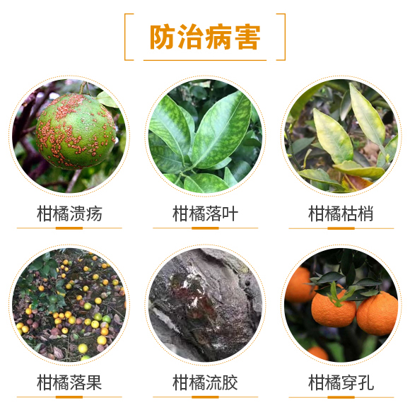 ������(d��o)��-(li��n)��μ�_03