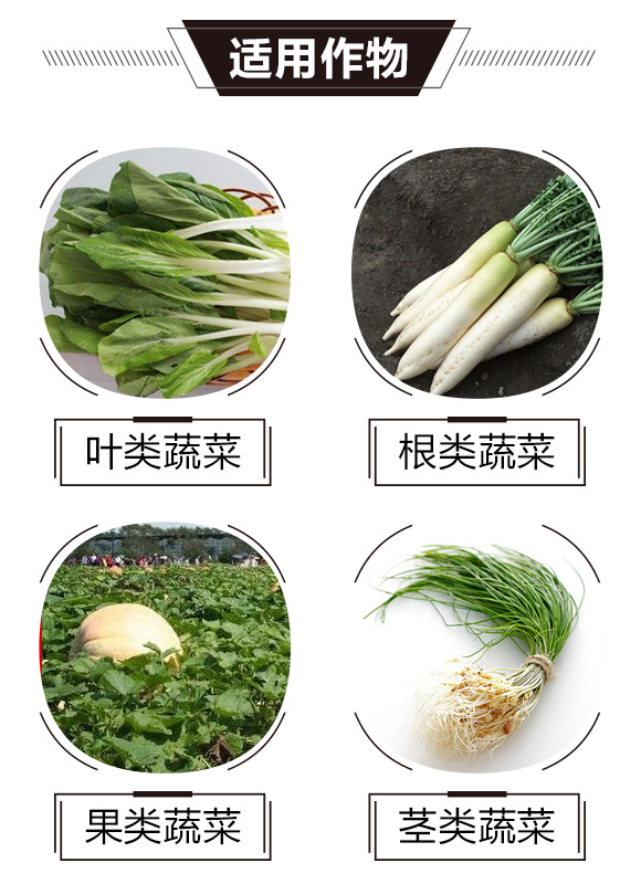 碳?xì)浜朔?綠藻門-碳?xì)鋰?guó)際_03