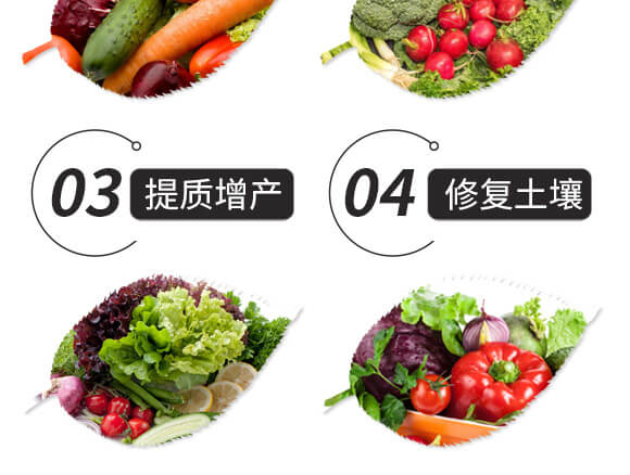 �Y(ji��)����ֲ���-����һ̖(h��o)-��ɫ���B(t��i)_05