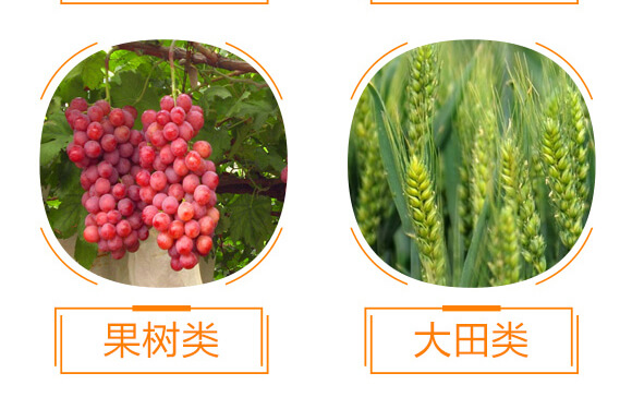 ����ֲ��ˮ�ܷ���-���-��ɫ���B(t��i)_05