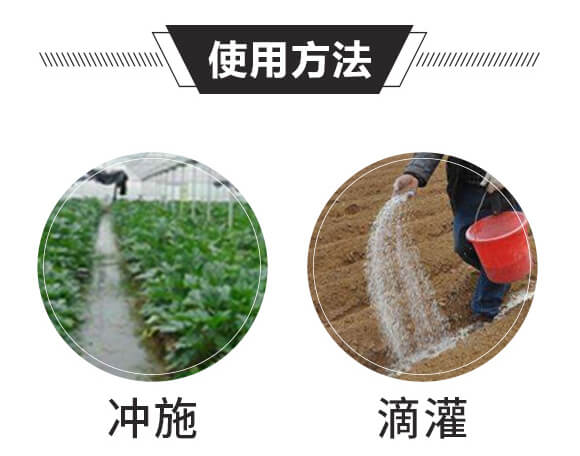 �Y(ji��)����ֲ���-����һ̖(h��o)-��ɫ���B(t��i)_06