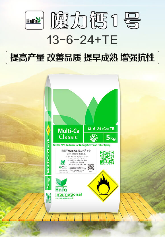 �๦����ˮ�ܷ�13-6-24+TE-ħ���}1̖-�������Q_01