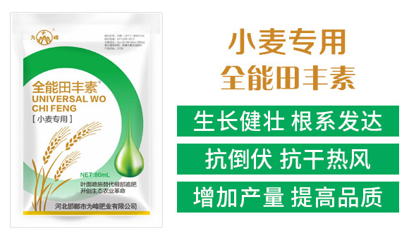 С������ȫ�����S��-���_02