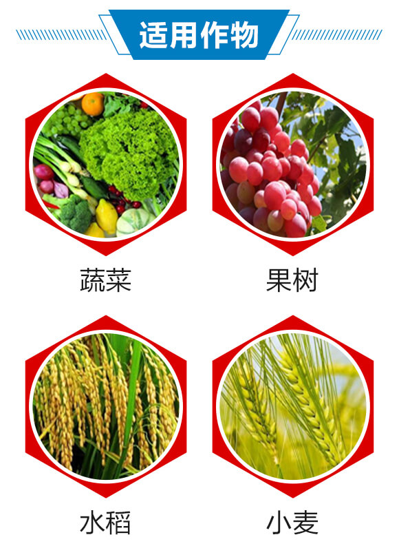 6%(li��n)�ա���x��-������-��������_04