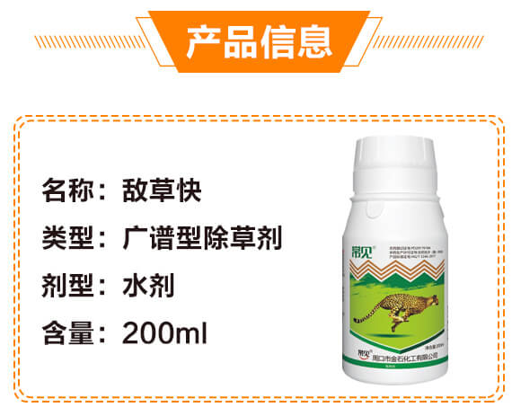 20%���ݿ�-��Ҋ(ji��n)-��ʯ����_03