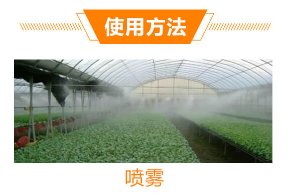 �ݸ�좮������}-�x��-��ʯ����_06