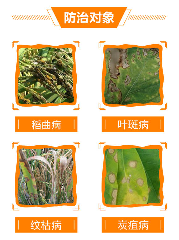 300��ÿ�����ѡ����h(hu��n)��-��֮�{(l��n)-���r(n��ng)����_05