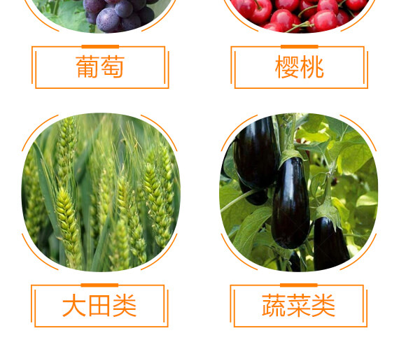 EM΢�����Һ+������-�gϲ��-ϲ�ϼ�_07