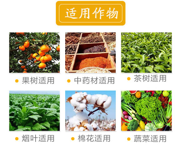 黃腐酸有機無機復混肥-汲養(yǎng)源-鑫東肥業(yè)_04