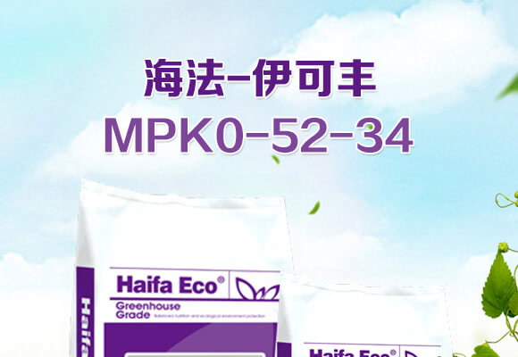 MPK0-52-34-����_01