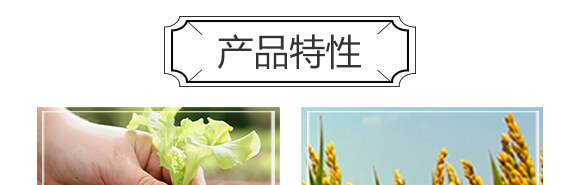 �S���������ЙC����-С����-�r(n��ng)��һ_05